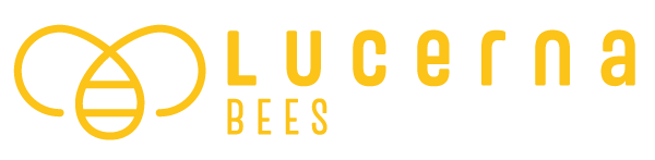 Lucerna Bees