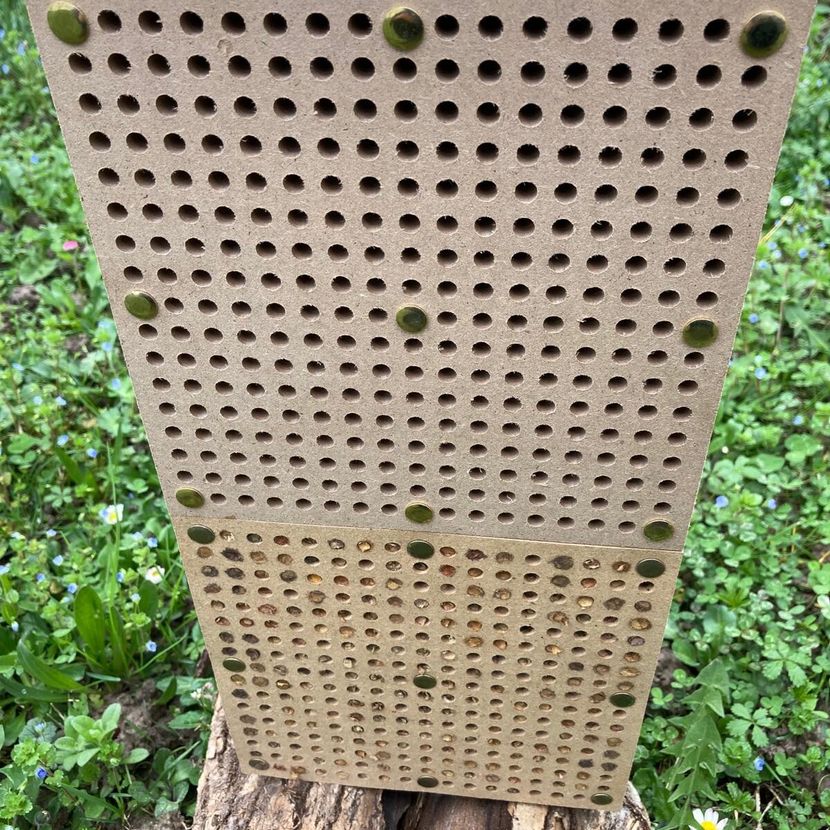 nido per api solitarie per orto prima e dopo sotto e sopra